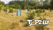 АК-47. Пейнтбольный клуб Минск.