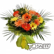 Fan-Fan Tulpan (Фан-Фан Тюльпан). Салон цветов Минск.