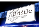 Bristle (Брисл). Бар Минск.